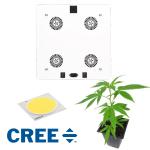 Iron And Aluminum Body Cob Cree Led Grow Light 400W Full Spectrum