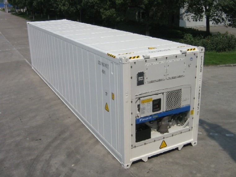 40ft Corten Steel and Aluminium Material Refrigerated Container with -30°C / -22F Deg Inside Temperature from Thermo King