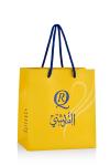 Garment Shopping Branded Paper Bags embossing Pantone Printing 190x120x210mm