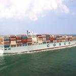 International Door To Door FCL Sea Freight Carriers Ocean From Ningbo China To