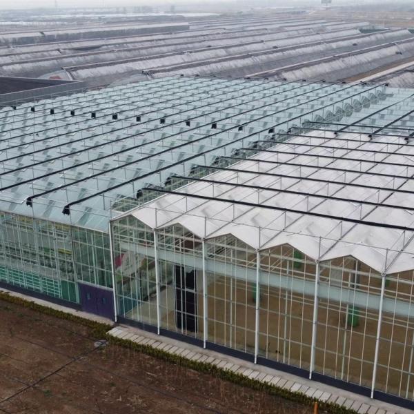 Buy cheap Versatile and Customizable Drip Irrigation Glass Greenhouse for Flower Growing from wholesalers
