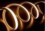24V Neon Lights LED Light Strips Indoor Deco No Spot 3000K