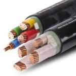 Low Voltage Copper Conductor XLPE Insulated Power Cable with 3 2 Cores and PVC