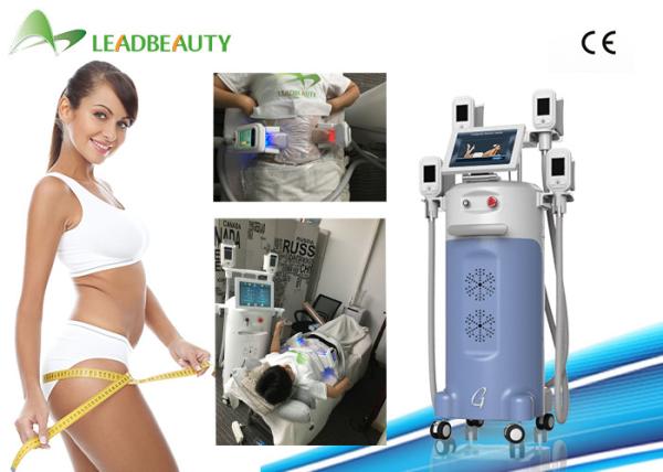 Hot in Europe Blue and White 4 handles Cryolipolysis Slimming Machine for Clinic