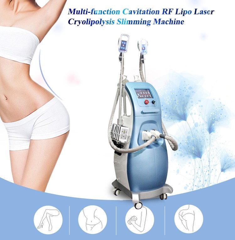 Multifunctional Cryolipolysis Slimming Machine For Face And Body