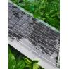 Buy cheap 30W 40W 50W 60W 80W Solar Panel PET Semi Transparent Solar Panel 1000V from wholesalers