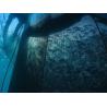 Buy cheap Australia nylon Netting 100-500mesh Nylon Mesh For AQUACULTURE CAGES & NETS from wholesalers