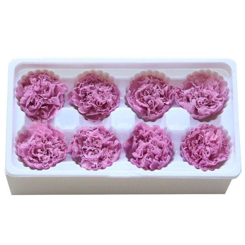 Factory Price Preserved Flowers Real Preserved Carnation For Mother