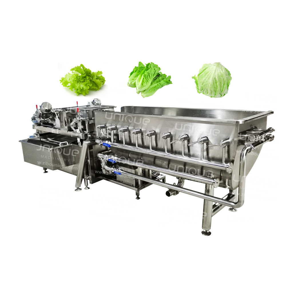 Fruit and Vegetable Washer Cleaning Machine for Fresh Cut Iceberg Lettuce