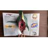 Buy cheap Eco - Friendly Children'S 3D Books Flap Board 3d Story Books For Kids from wholesalers