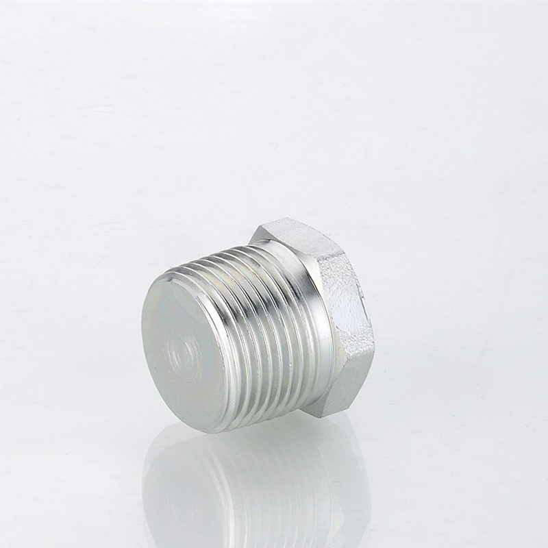 OEM Hydraulic Tube Fitting BSPT Male Plug 4t Hydraulic Tube Fitting