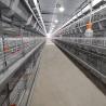 Buy cheap H Type Broiler Meat Chicken Cage Sales In Senegal 30000 Birds 144 Birds from wholesalers