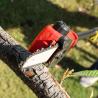 Buy cheap Telescopic Battery Pole Chainsaw Extendable Reach For Tree Trimming from wholesalers