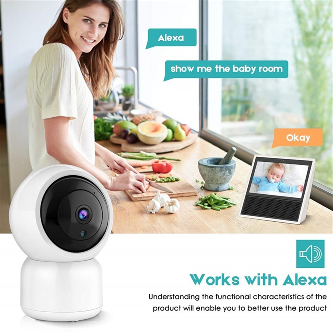 Smart Indoor P/T Camera(TV-308ZD-1MP)