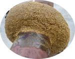 Dark Green Valve Petrolatum Paste Coating Mastic Waterproofing