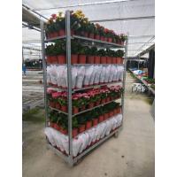 Buy cheap 53.1x22.2x74.8inch Danish Flower Trolley ISO Garden Plant Cart product