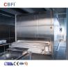 Buy cheap 1000KG/H Industrial IQF Quick Tunnel Freezer Air Blast Freezer from wholesalers