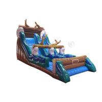 Buy cheap Wild Rapids Inflatable Dry Slide, Commercial Grade Giant Blow Up Slide product