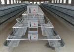 Welded Galvanized Egg Layer Chicken Cage Q235 For Farming