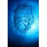 Buy cheap 3000W IP68 Waterproof Marine Fishing LED Lights Attractors for Ocean Fishing from wholesalers