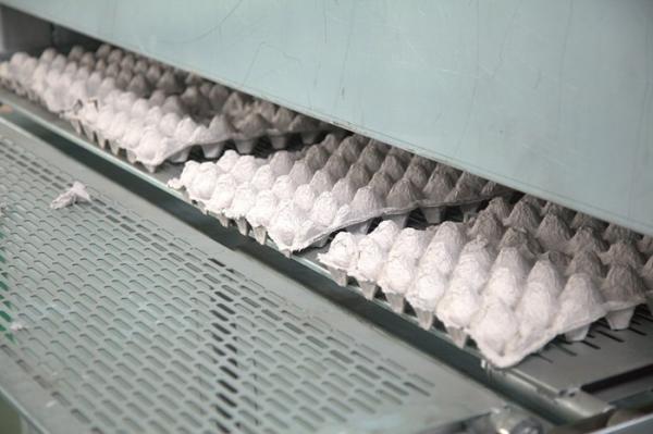 Buy cheap Small Pulp Molding Machine , Egg Tray Production Line , Egg Tray Machine from wholesalers