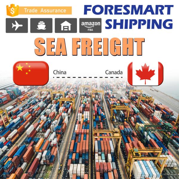 Buy cheap 40FT Container Shenzhen To Canada FCL Sea Freight from wholesalers