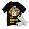 Buy cheap White Ink Printable T Shirt Heat Transfer Film Non Slip PET For DTF Digital Inkjet Printer from wholesalers