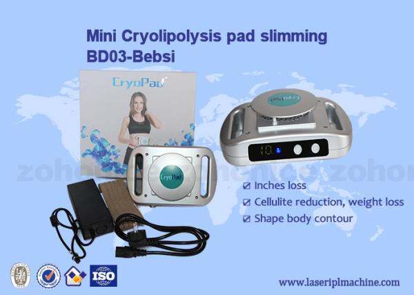 Buy cheap Home Use Mini Cryolipolysis Machine 220v / 110v Slimming from wholesalers