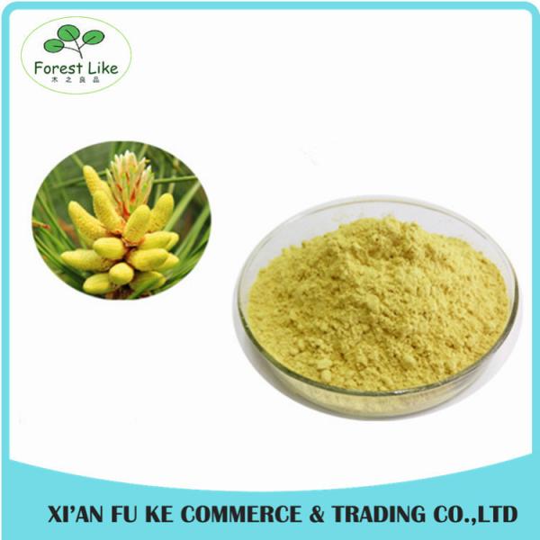 Buy cheap Pure Natural Meadow Pine Extract Powder 4:1 - 20:1 from wholesalers