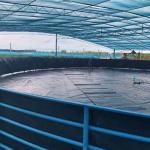 Industrial Design Style HDPE Geomembrane Sheet Liner for Fish Pond Waterproofing