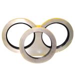 φ200 φ230 φ260 New Wear Plate Wear Ring Concrete Pump Spare Parts with
