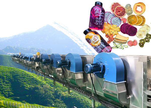Buy cheap High Performance Industrial Fruit Dryer For Apple Pear Mango Peach from wholesalers