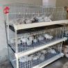 Buy cheap A And H Type Broiler Battery Chicken Cage For 45 Days Broilers Emily from wholesalers