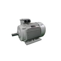 Buy cheap 11KW 10 Pole 12 Pole Low Voltage 3 Phase Motor YE3 160M1-2 2950RPM product