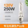 Buy cheap Electric Bulb Light Halogen Quartz 250w Halogen Lamp Single Ended from wholesalers