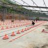 Buy cheap 4 Pan/3m Poultry Farm Equipment 380v Automatic Feeding System from wholesalers