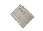 PMU Permanent Makeup Tools / Tattoo Practice Skin Soft And Easy To Get Ink