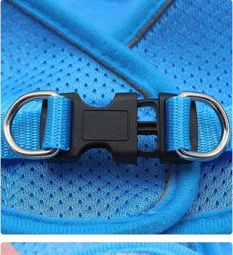 New Product Ideas 2021 Custom Waterproof Breathable Mesh Dog Harness And Leash Set