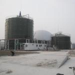 Short Construction Period Bolted Steel Tanks For Potable Water Storage