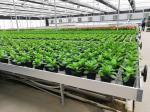 Aluminum Alloy ABS Clip On Bench Side Profile Greenhouse Rolling Tables W × L 4