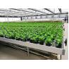 Buy cheap Aluminum Alloy ABS Clip On Bench Side Profile Greenhouse Rolling Tables W × L 4 × 8 from wholesalers