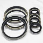 Chinese Oil Seal Manufacturers EU Dkb GA Dli Dust Seal for Advanced Performance