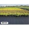 Buy cheap Landscape Pe Woven Geotextile Fabric Ground Cover 50-100gsm For Weed Control from wholesalers