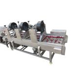 Industrial Fresh Potato Automatic Fruit Vegetable Washing Line