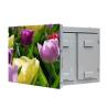 Buy cheap 6500cd/sqm P10 960x960 Outdoor Led Display Empty Cabinet Screen from wholesalers