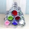 Buy cheap Christmas New Year Gifts Single Rose Preserved Rose Flower Stem Box in PVC Cylinder Preserved Flowers from wholesalers