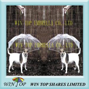 Wholesale PVC and Poe Pet, Cat, Dog Umbrella Manufacturer from china suppliers