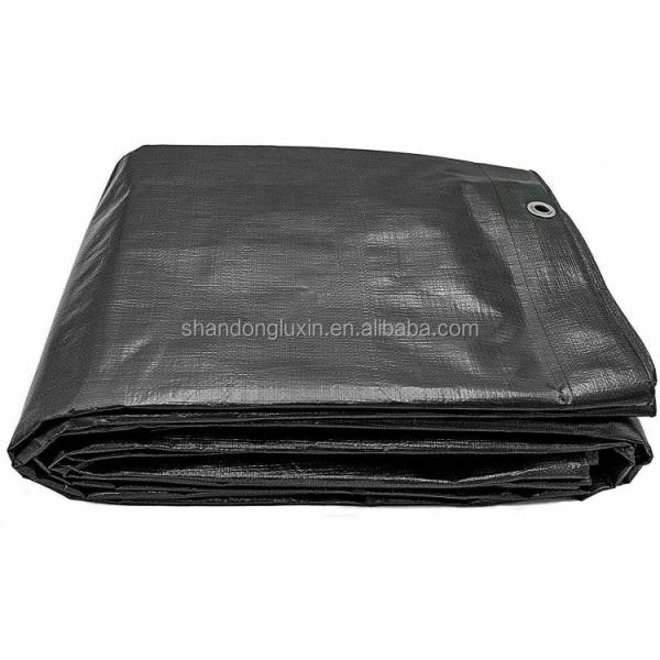 LDPE Coated Poly Tarps for Heavy Duty Outdoor Protection Lightweight and