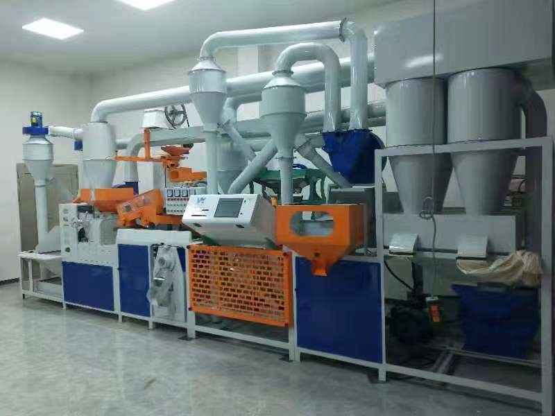 High Capacity Intelligent CCD Black Rice Color Sorter Machine Hot in India