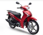Double Clutch 110cc Dirt Bike Motocross Motorcycle Spoke Wheel Chromed 12v